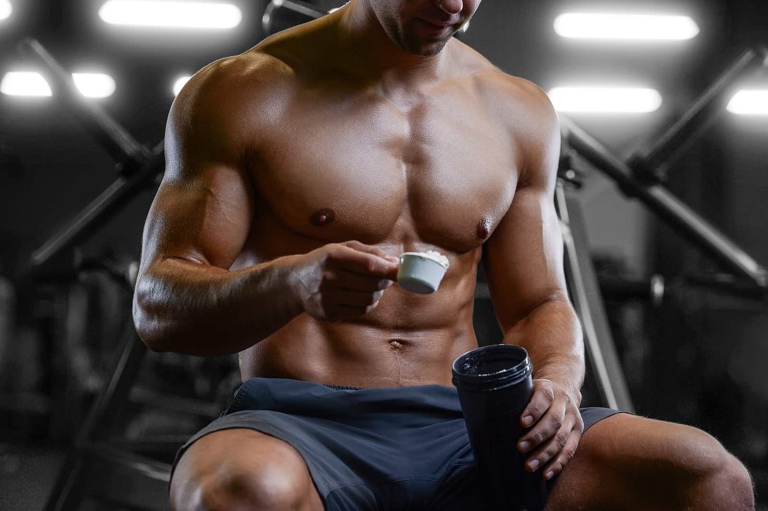 Workout Supplements